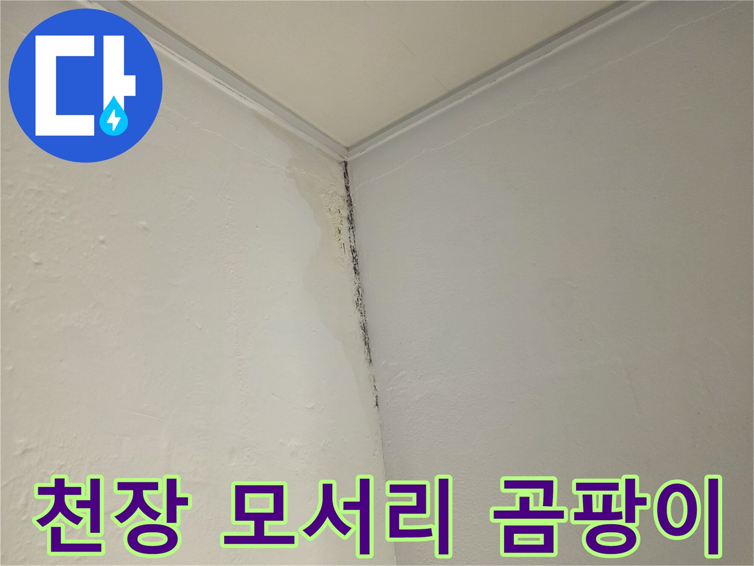 벽면 구석에 발생한 습기 및 오염 흔적