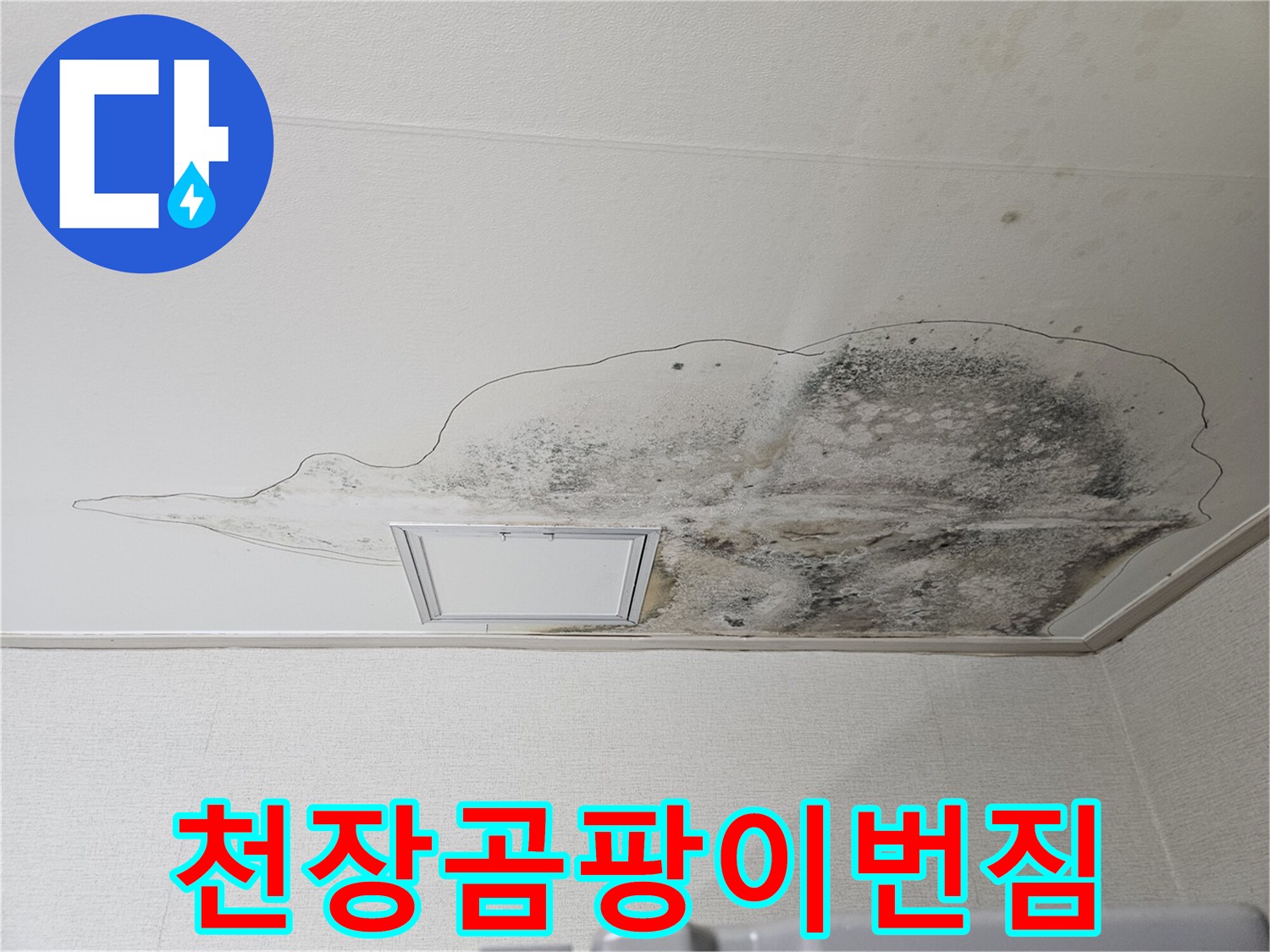 검게-변한-주방-천장-곰팡이-오염-부위