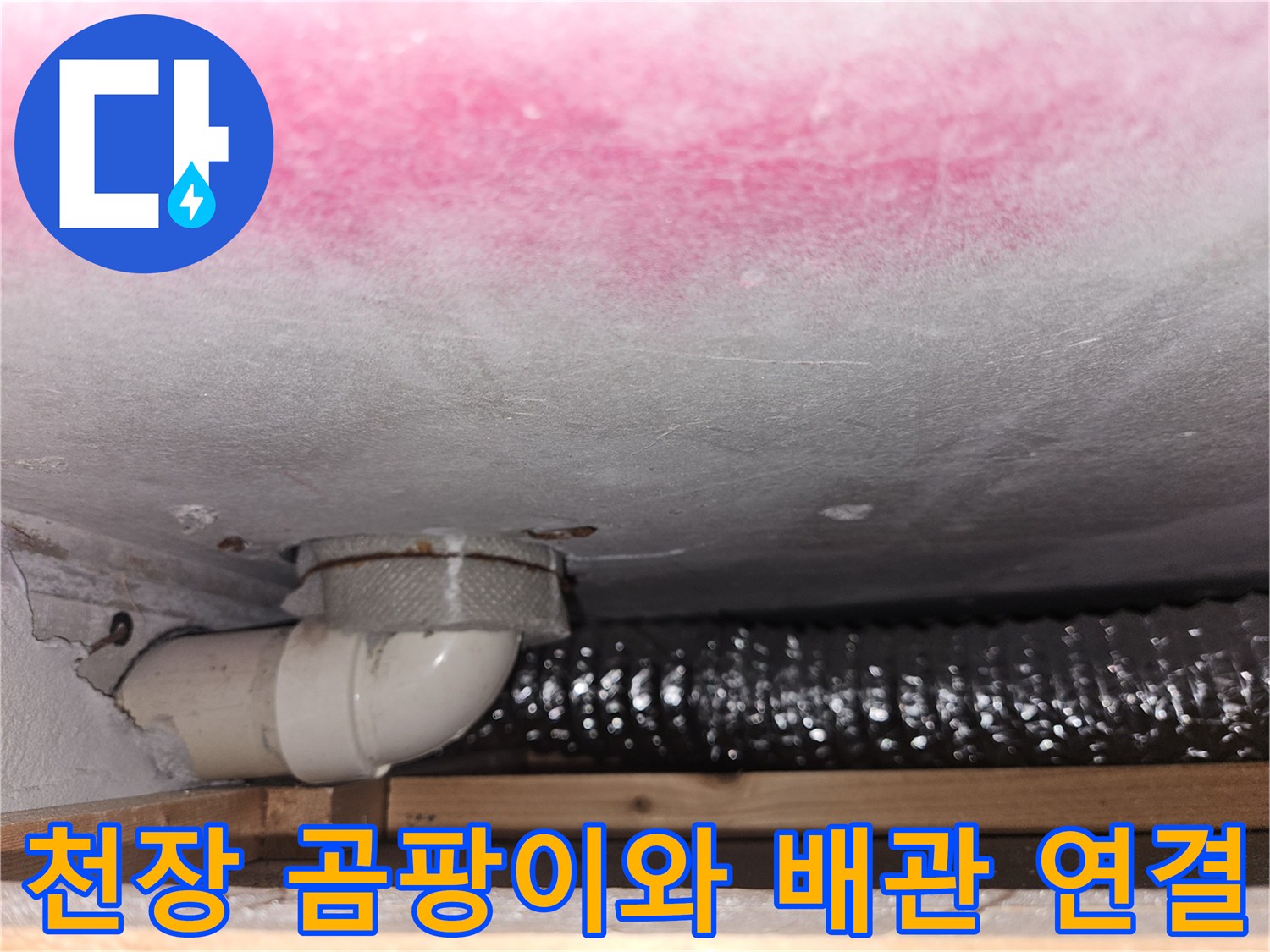 분홍색-곰팡이가-핀-천장과-하얀색-배수-부속품
