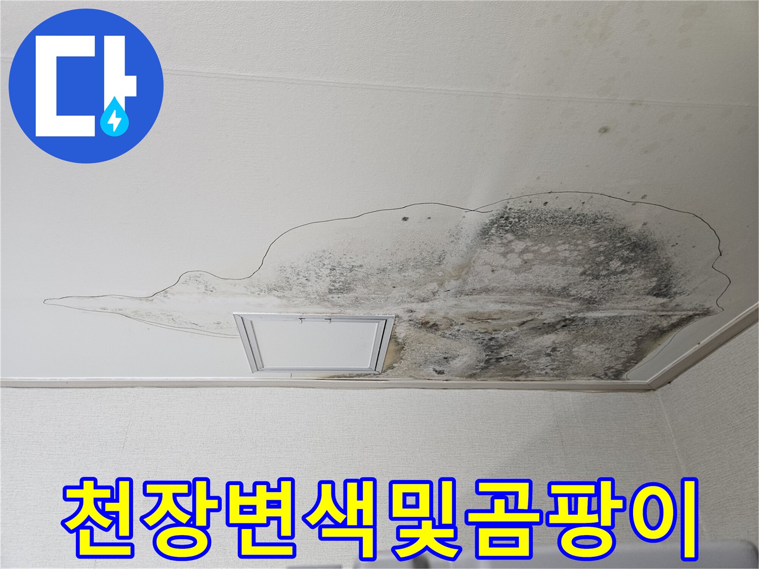 습기로-오염된-주방-천장-텍스-상태