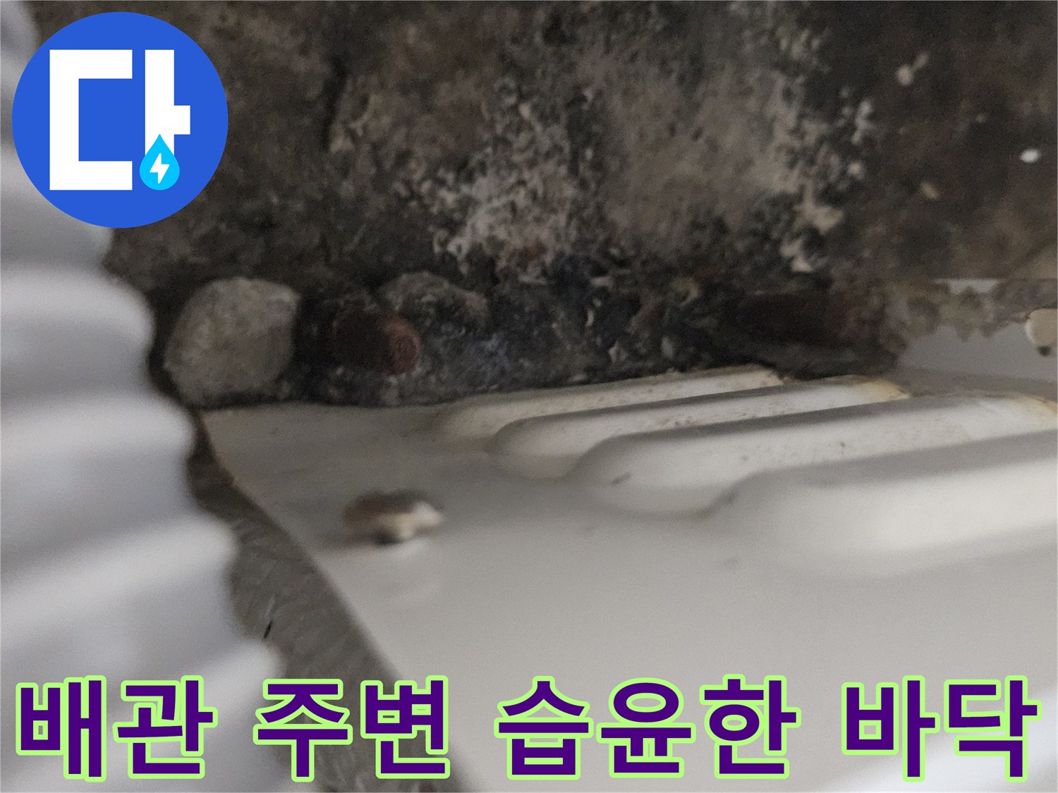 싱크대-하단-배관-주변의-물기-및-오염-상태