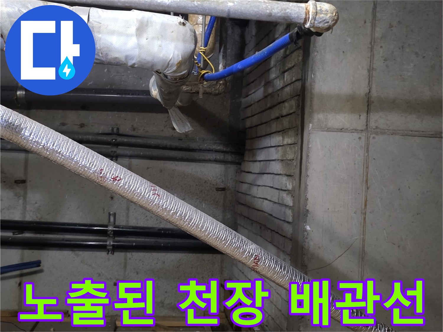 분당 매장 천장-복잡하게 얽힌 배관과 습기 노출 부위