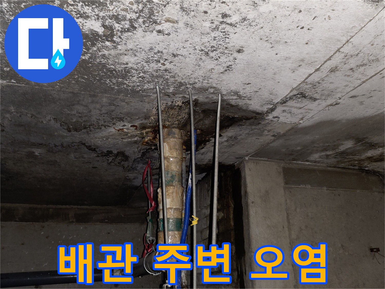 상가 배관 관통 부위-습기 및 곰팡이 흔적