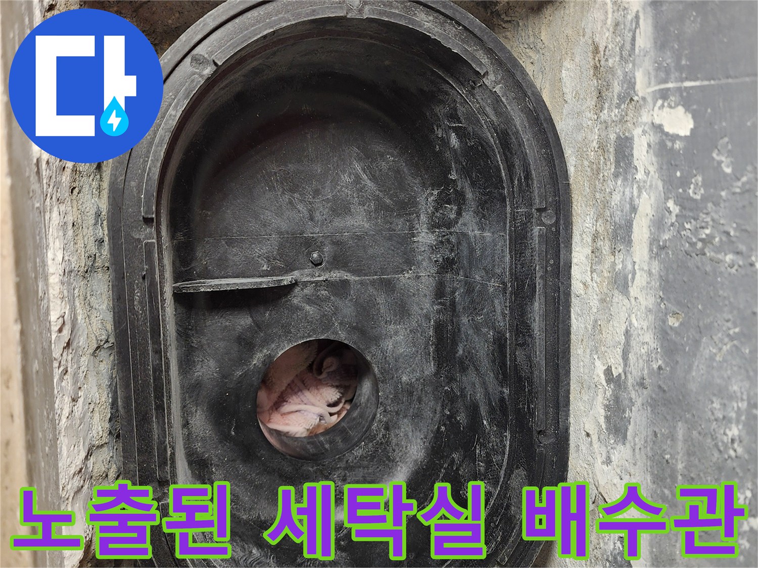유가-제거-후-배수-트랩-상태