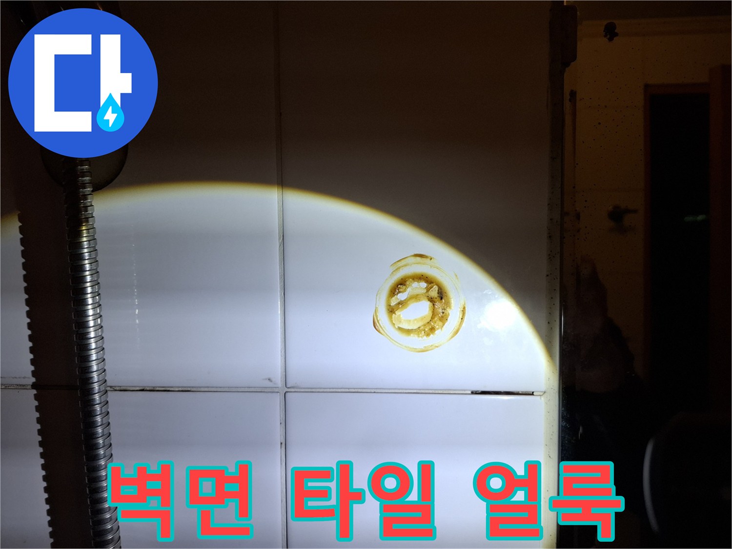 욕실-타일-사이-누수-흔적-발견