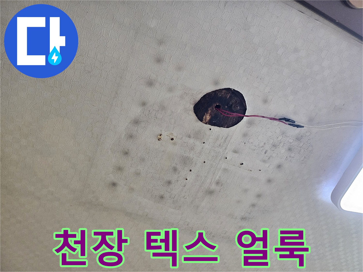 화장실-천장-텍스-부위의-습기-및-얼룩-상태