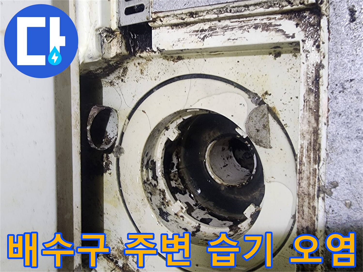 욕실-하수구-주변의-심한-오염과-습기-상태