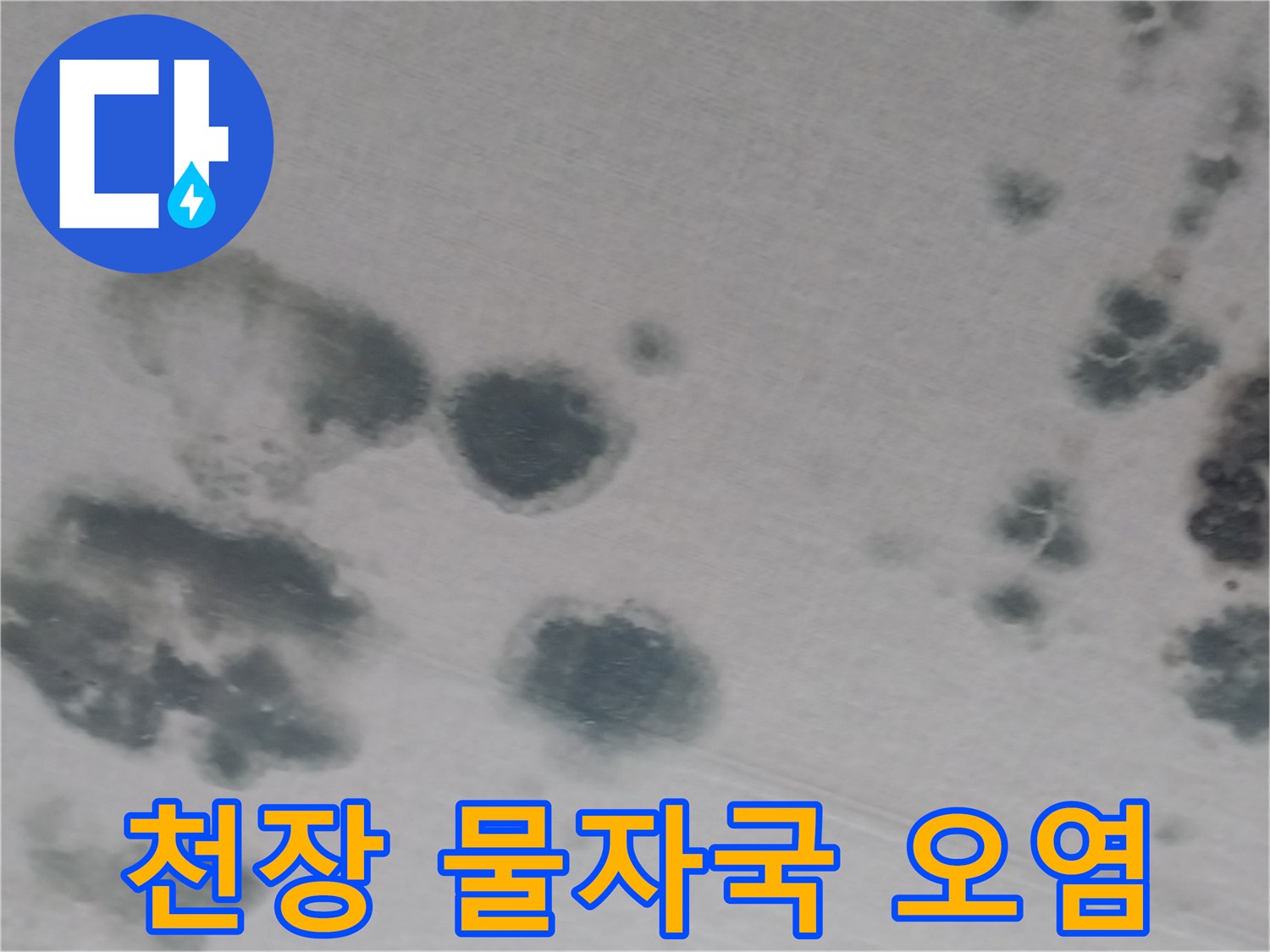 천장-벽지-부분적-물젖음-및-변색-상태