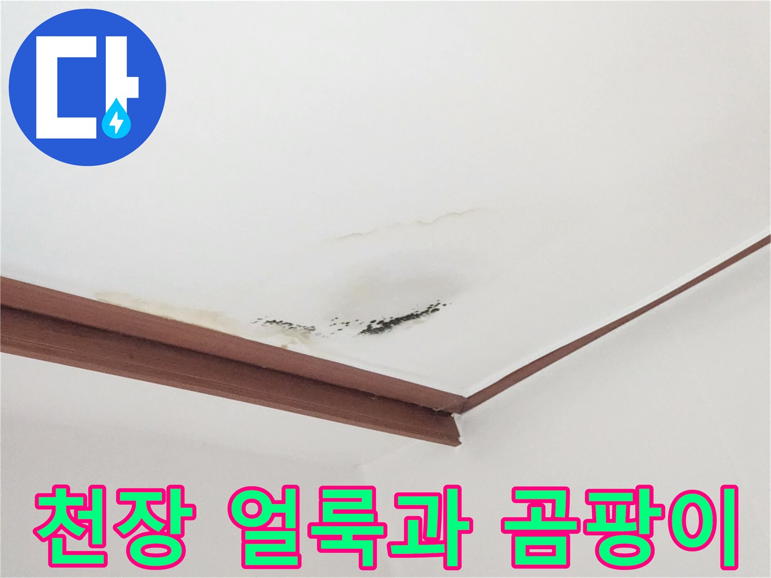 거실-천장-몰딩-근처의-누수-및-곰팡이