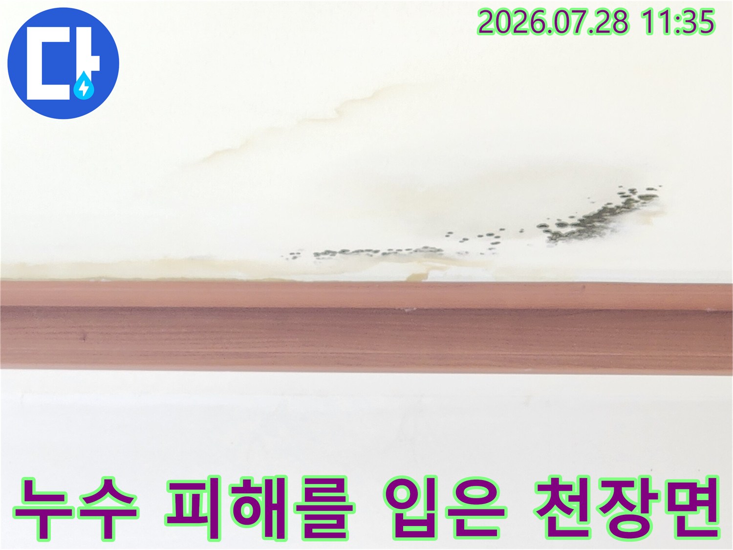 거실 천장의 누수 흔적과 곰팡이 발생 지점 촬영