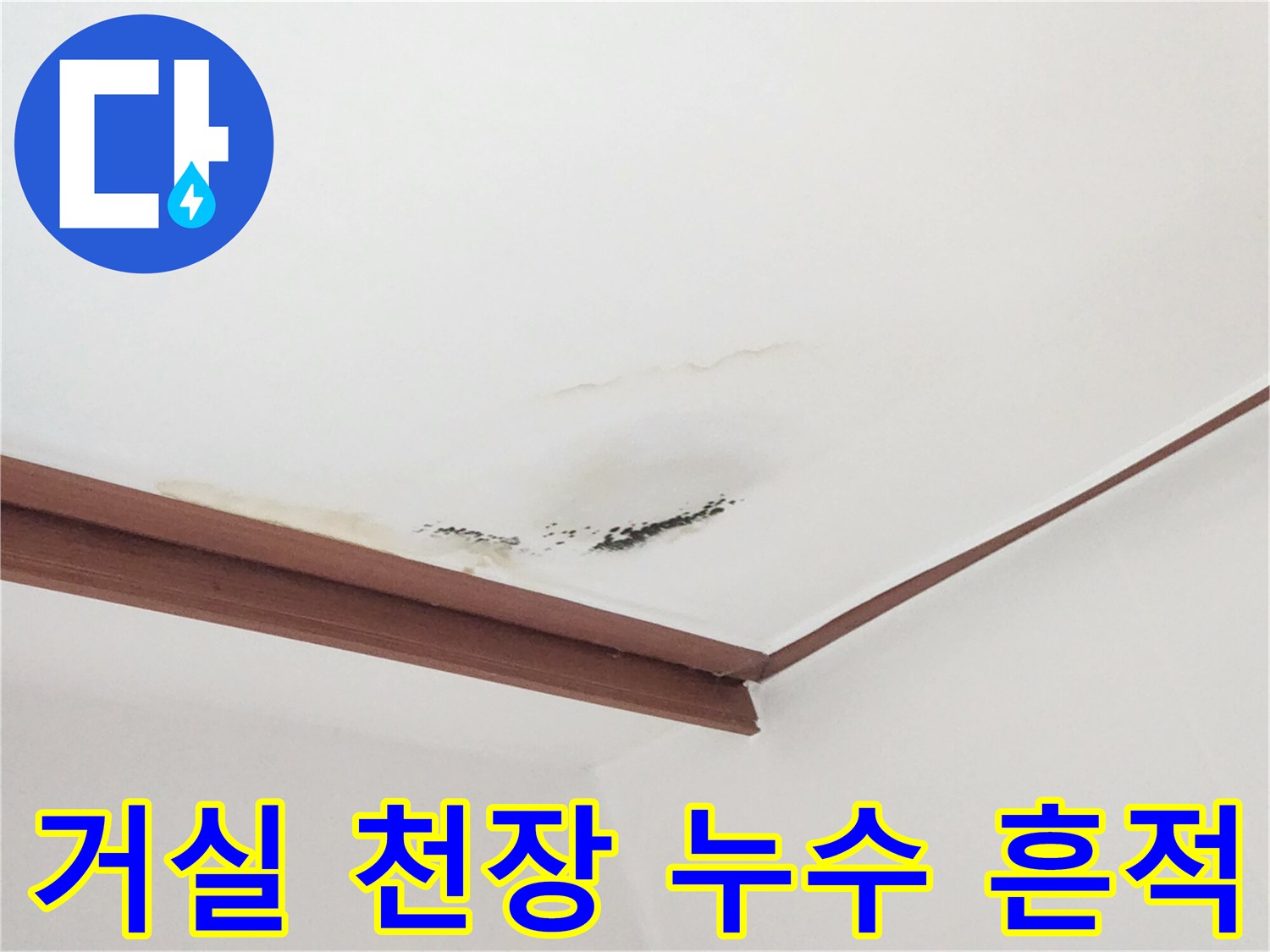 아랫집 거실 천장에 발생한 노란 물얼룩과 곰팡이 상태