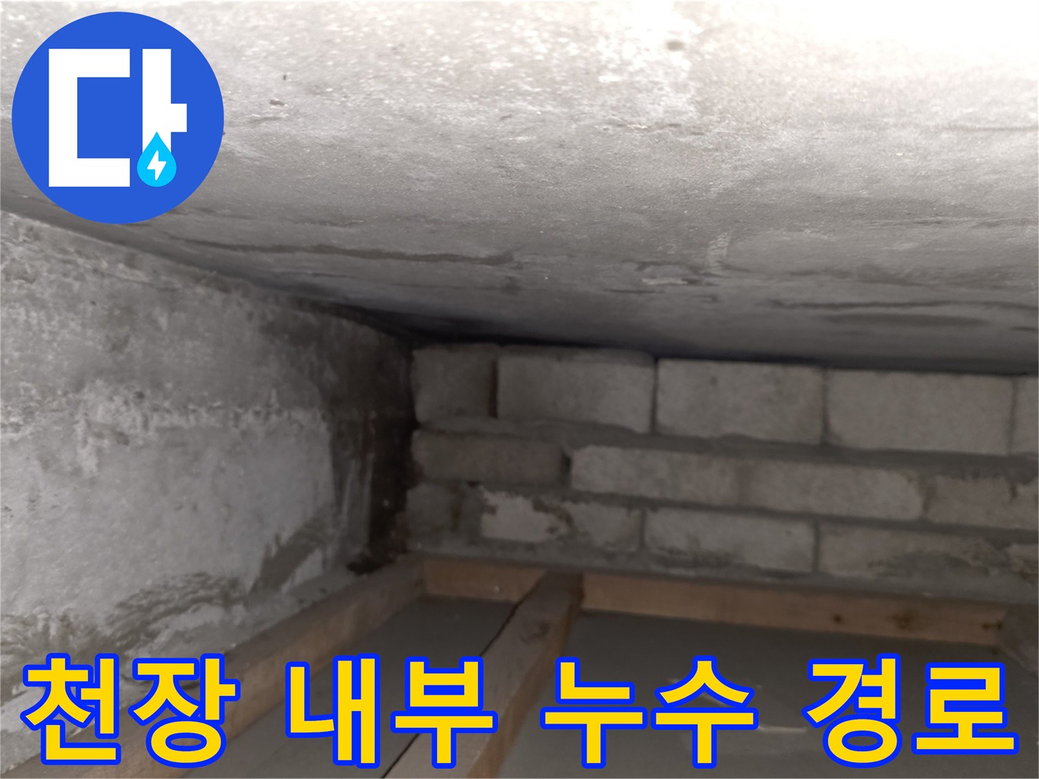 물길을-따라-젖어있는-천장-콘크리트