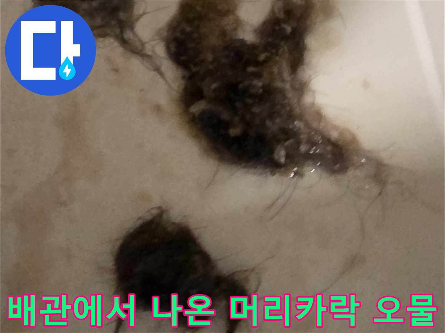 오수관-내부에서-끌어올린-머리카락-뭉치들