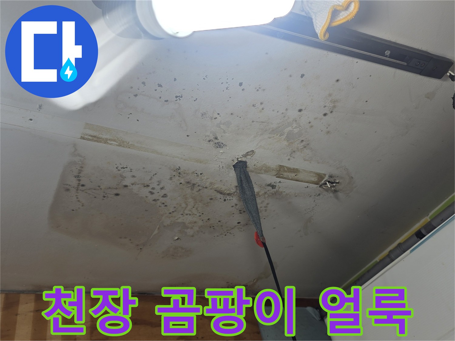 천장 마감재의 곰팡이와 습기 흔적