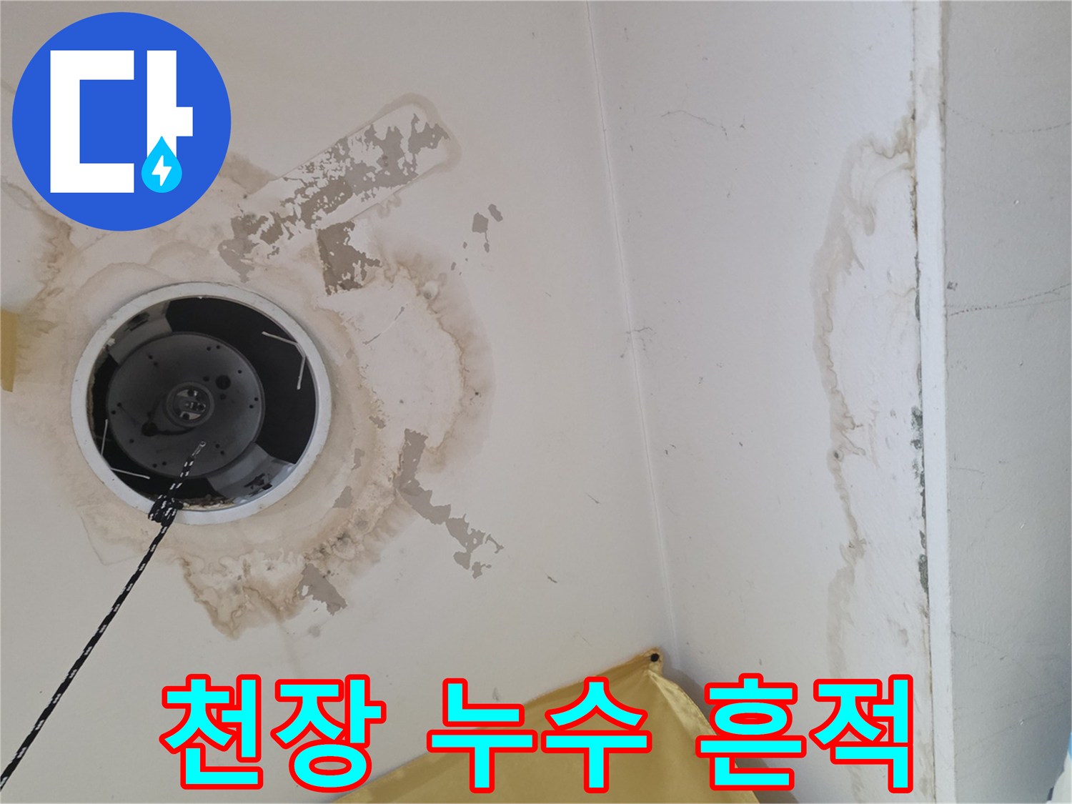 천장 조명 주변에 넓게 퍼진 누수 오염 부위