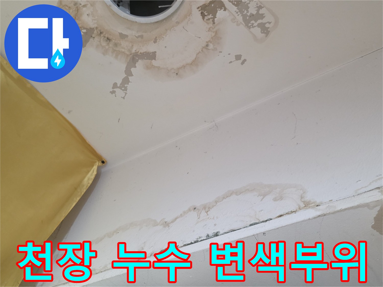 천장-조명-주변의-넓은-물자국과-습기-흔적