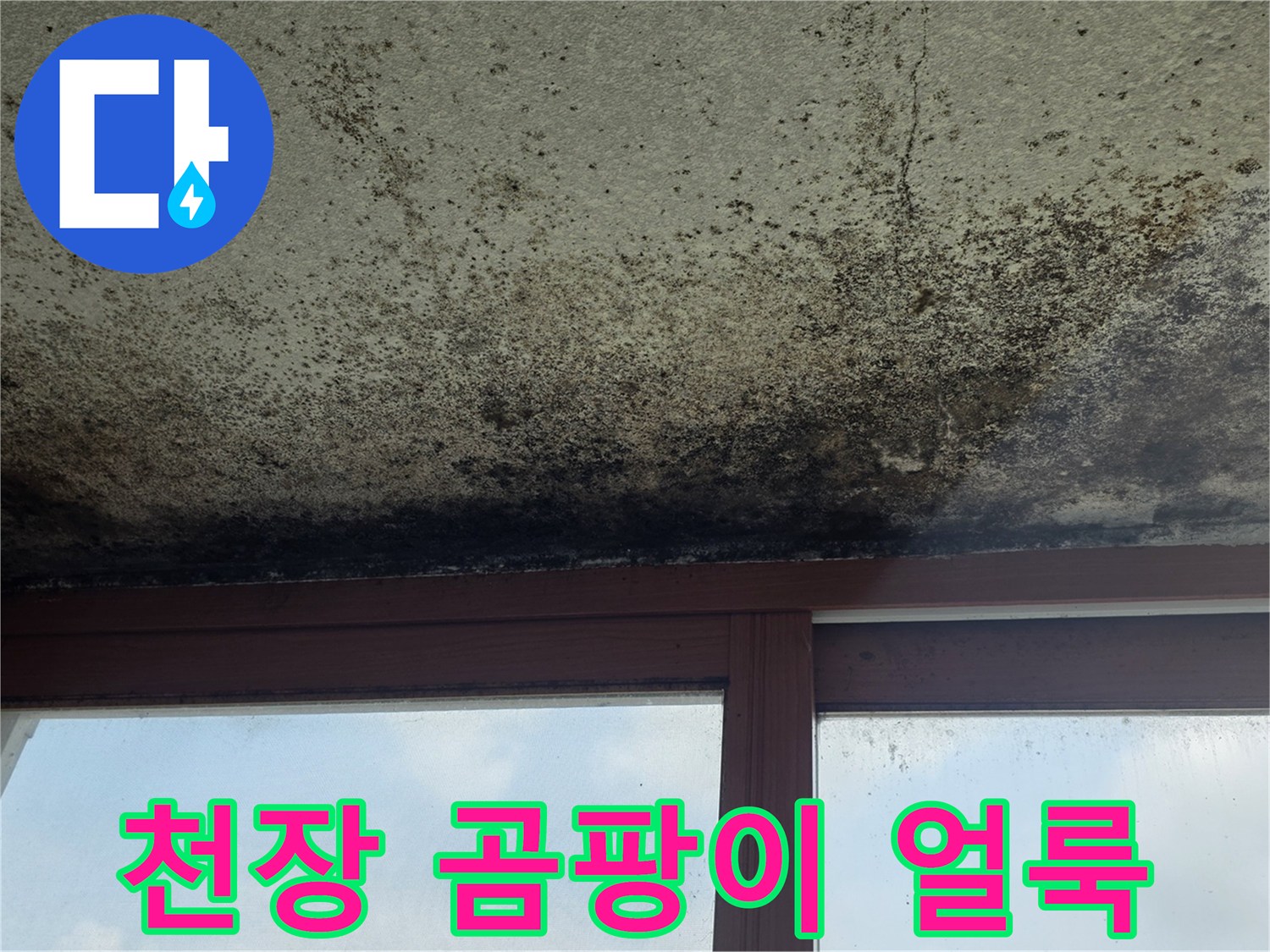 검은색-곰팡이가-발생한-천장-마감재-상태
