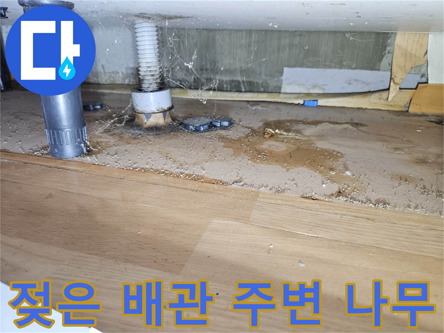 싱크대 아래쪽 배관 주위의 젖은 자재와 오염 흔적