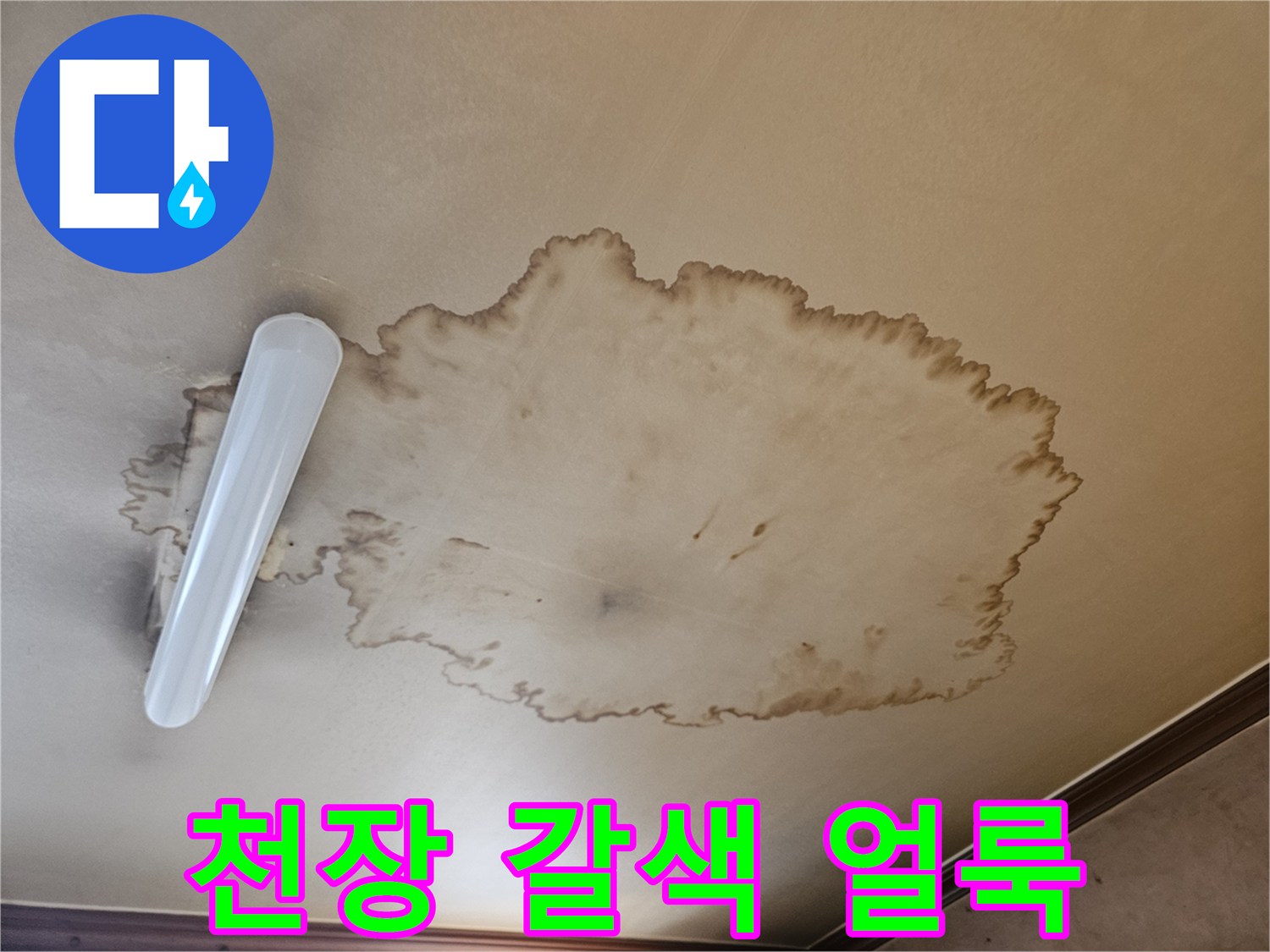 넓게 번진 천장의 갈색 누수 변색 부위