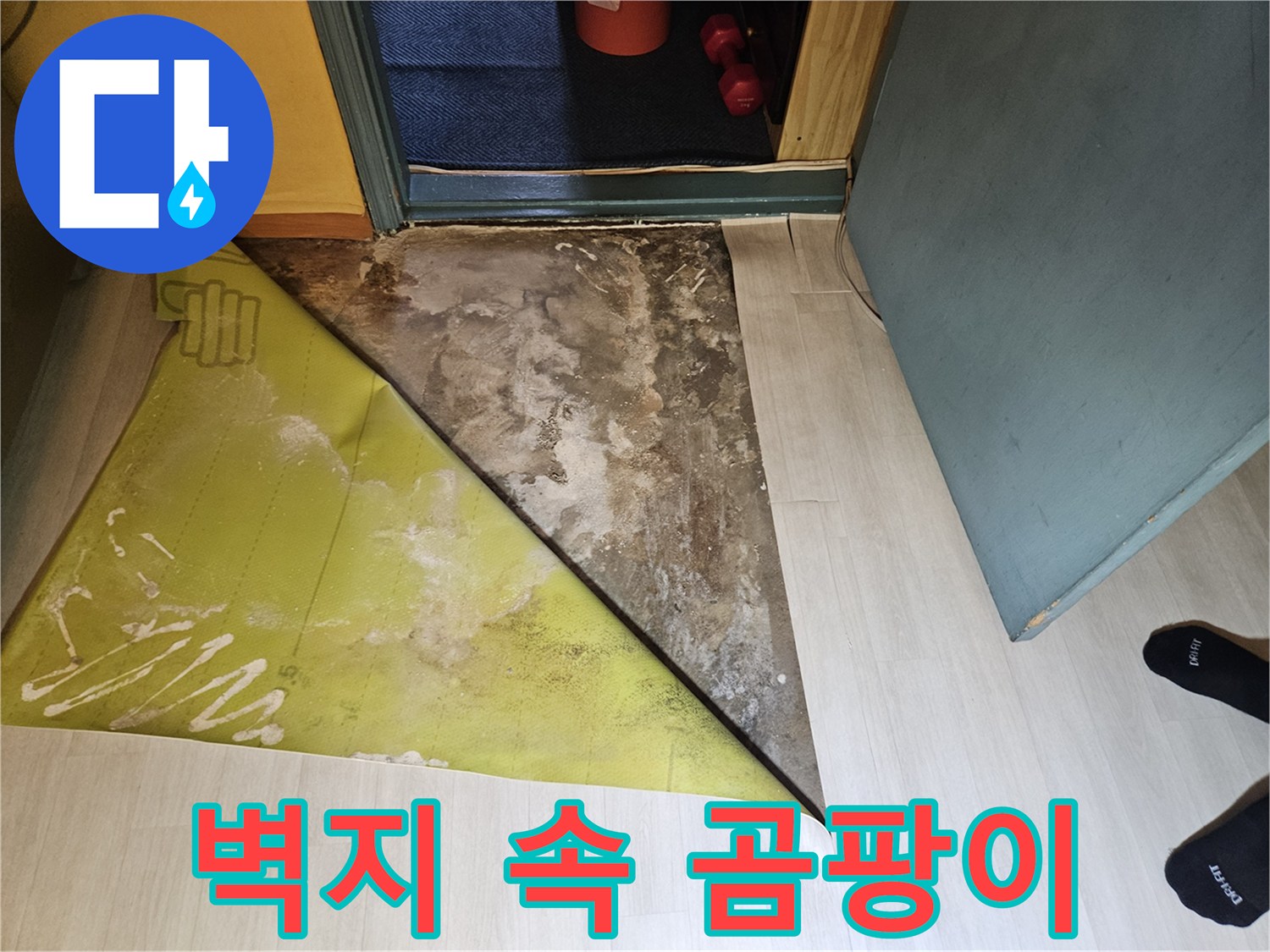 벽지 안쪽-심각한 곰팡이와 습기 흔적