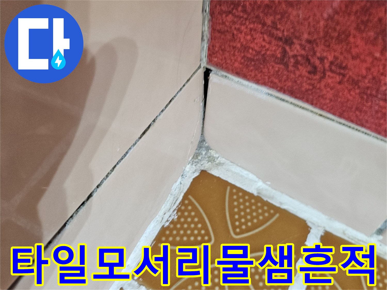 타일-틈새의-어두운_습기_변색부위