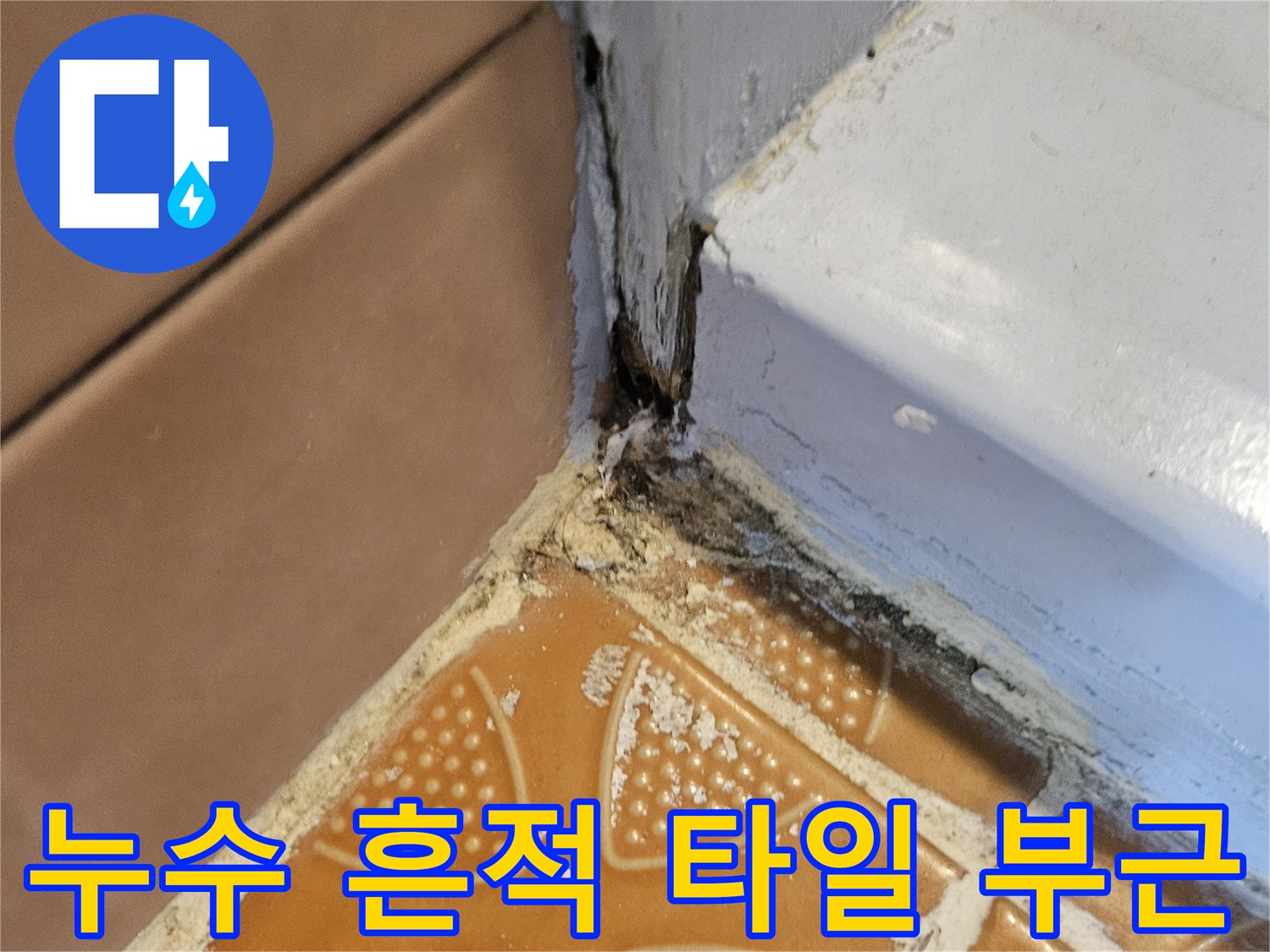 타일과 벽체 경계-습기 침투로 인한 변색 현장