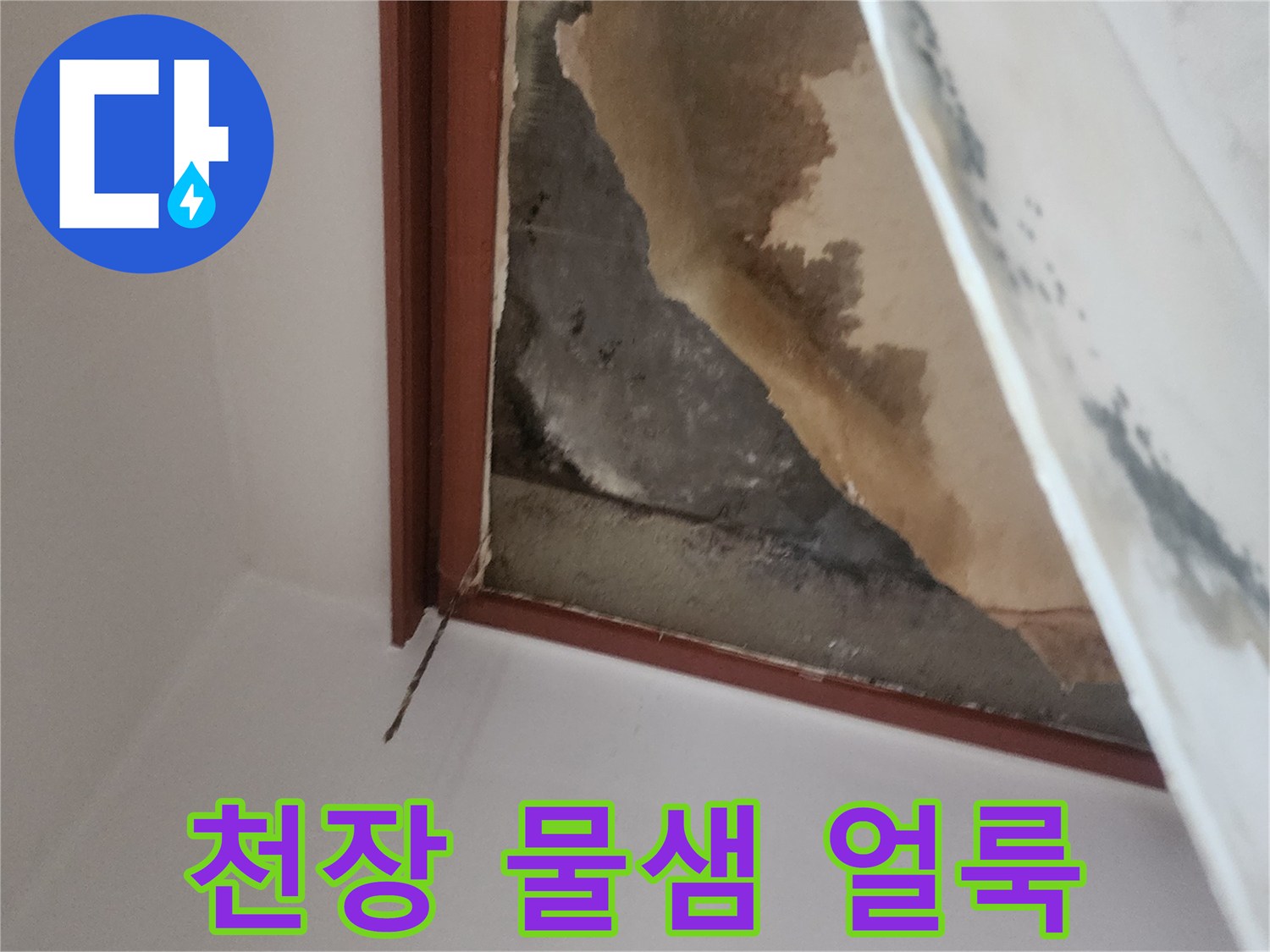 아래층 천장 도배지가 젖어 있는 모습