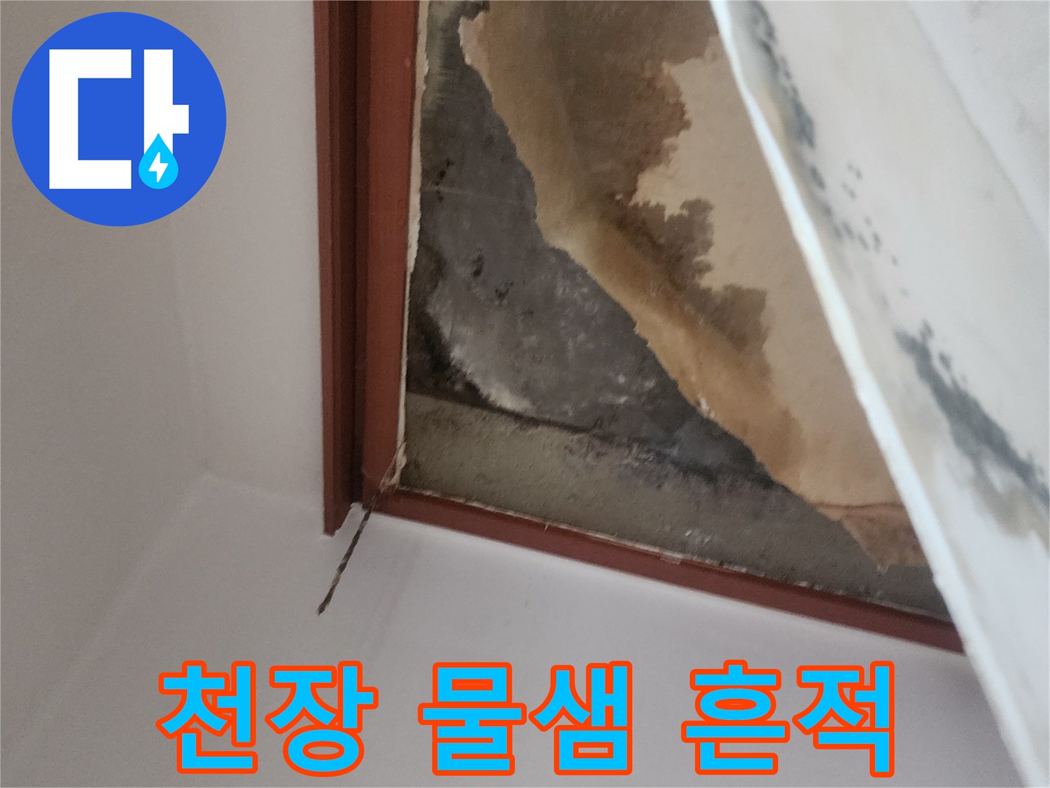 아래층 천장-물에 젖은 도배지 표면