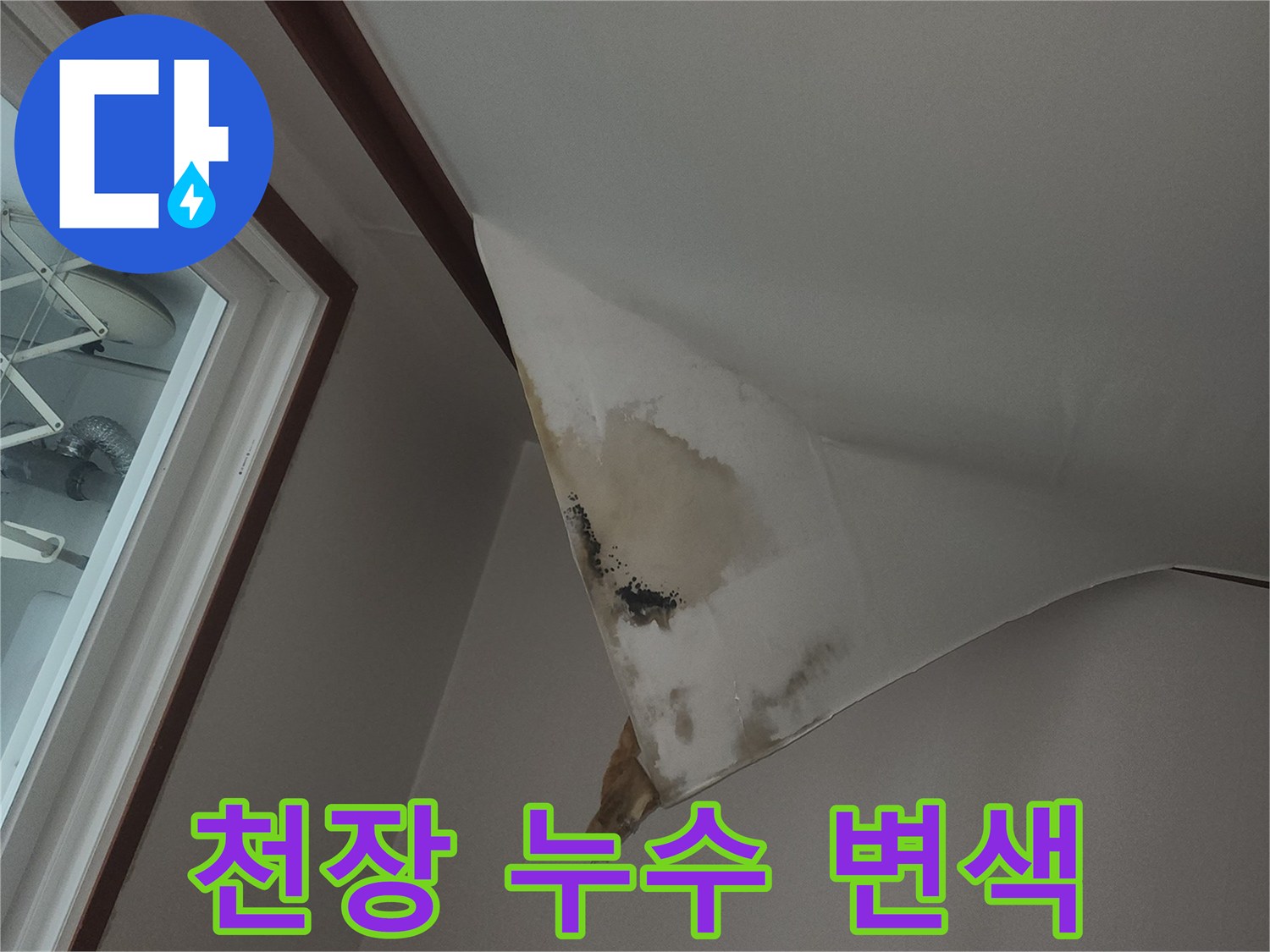 축축하게 젖어 있는-천장 도배 마감재
