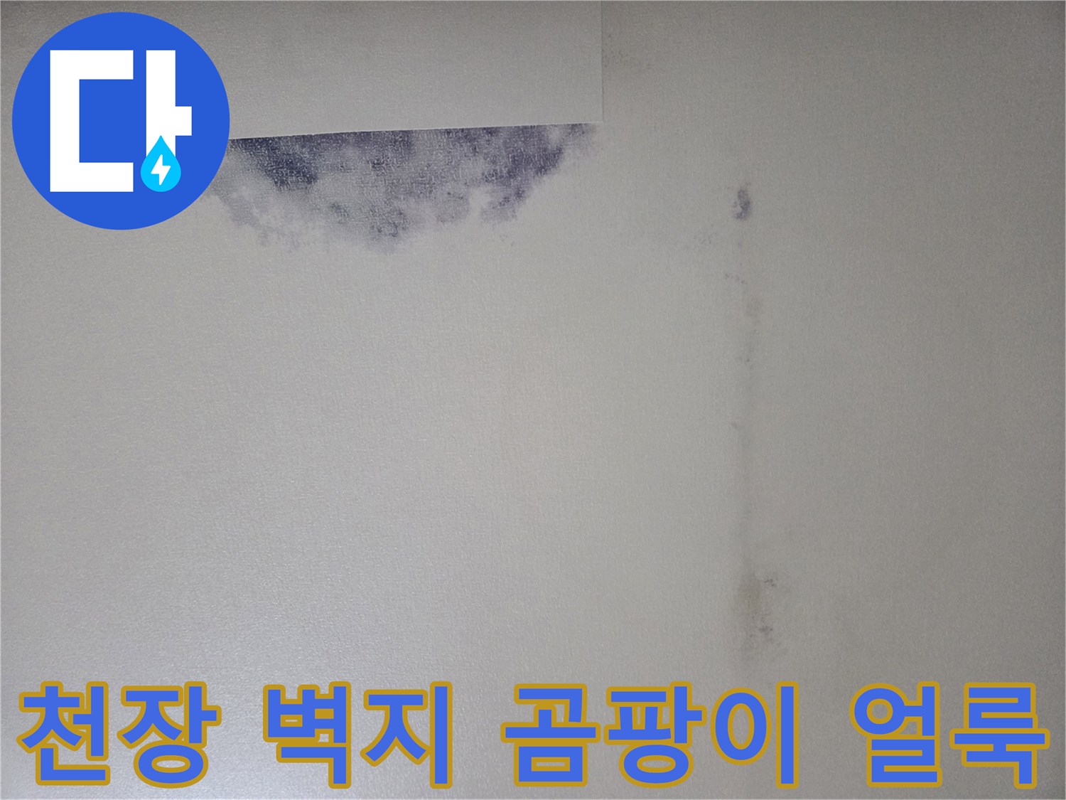 습기로 인해 검게 변한 천장 벽지 부위