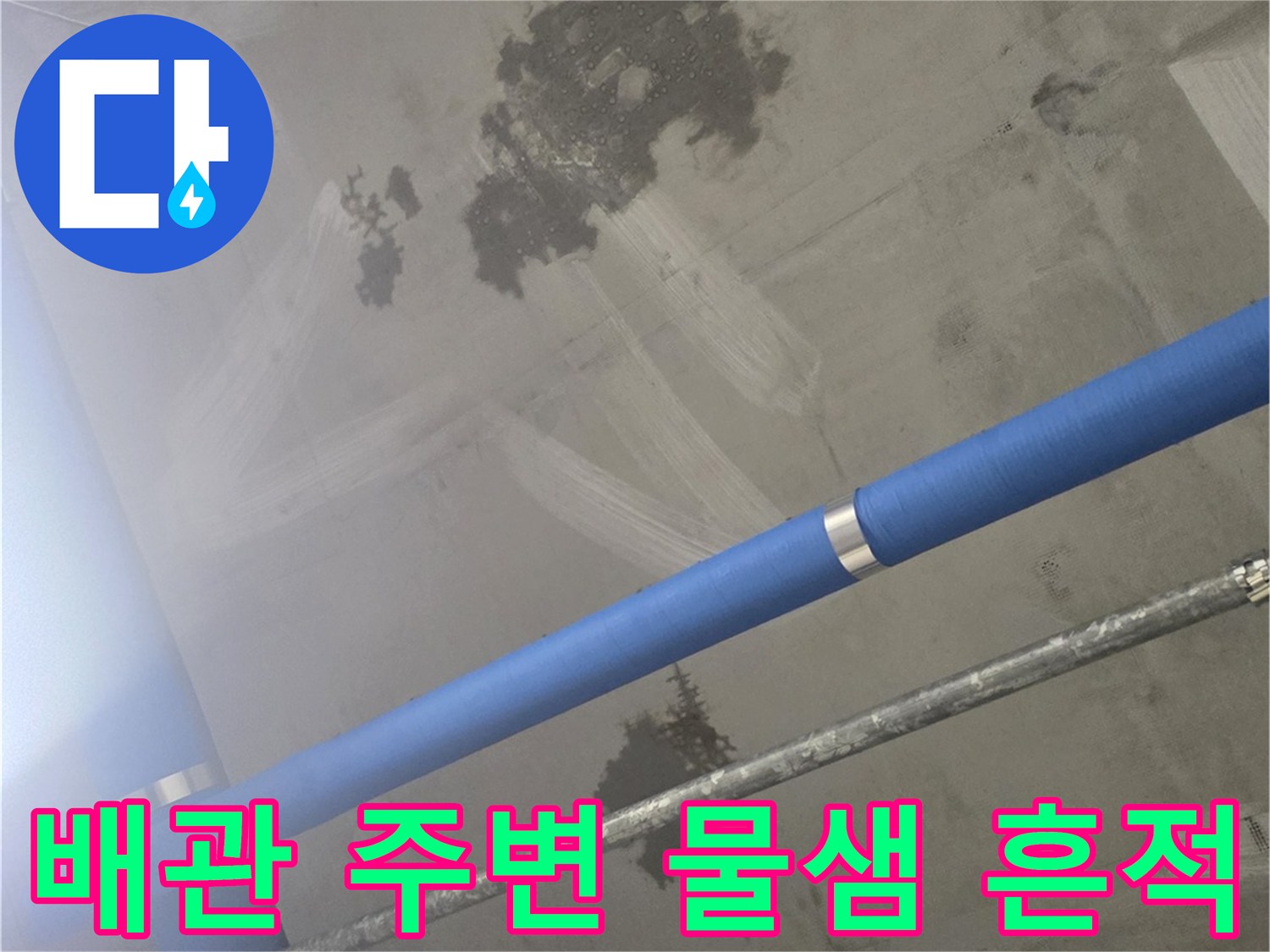 파란색 PVC 배관과-물에 젖어 어두워진 천장 구조물