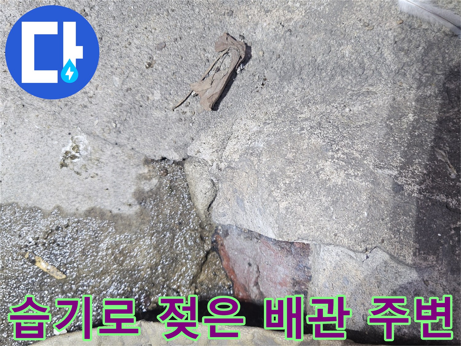물기가-스며든-배관-주변-바닥-현장