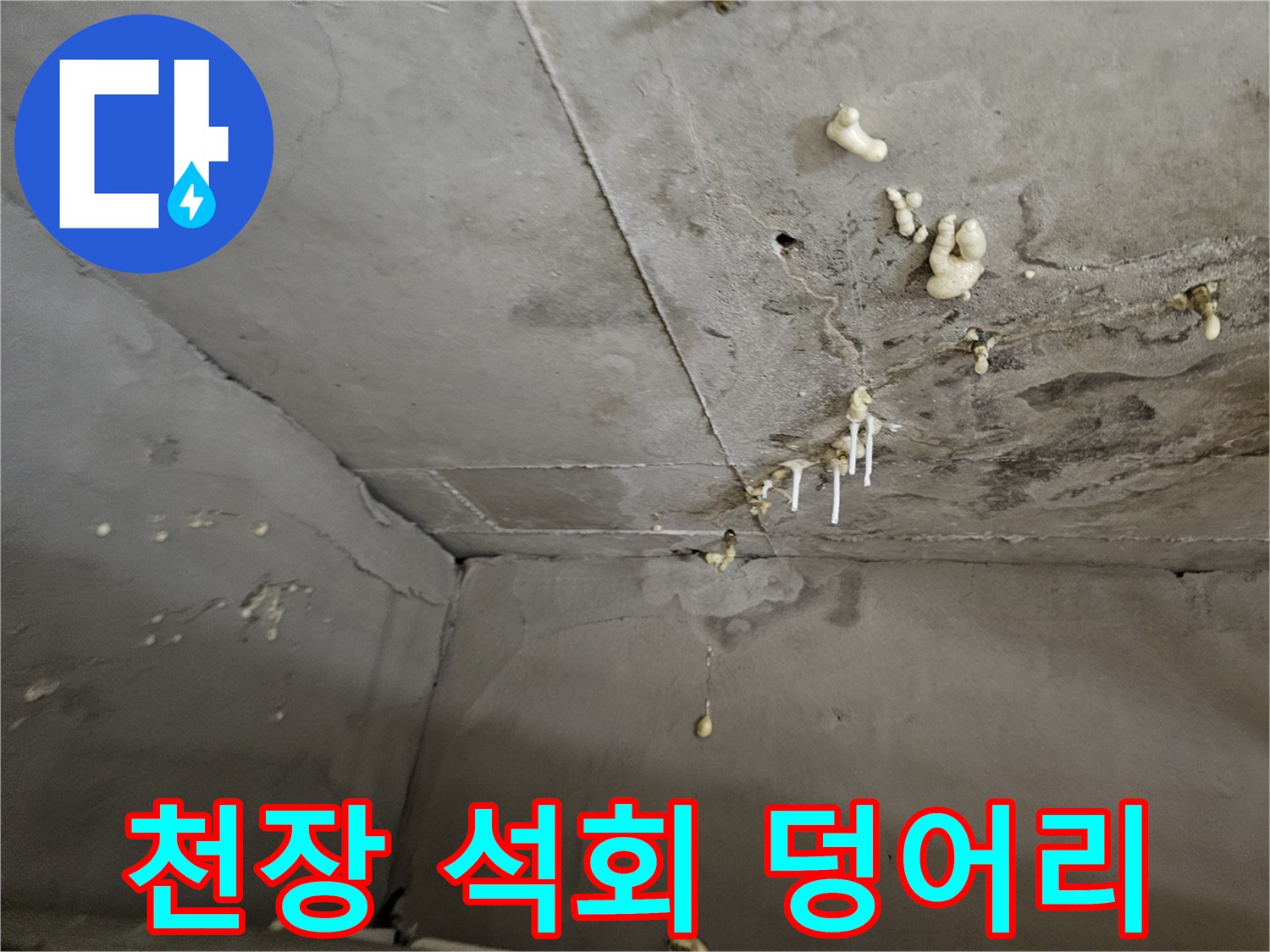하얀색-석회-성분이-맺혀있는-천장-콘크리트-표면