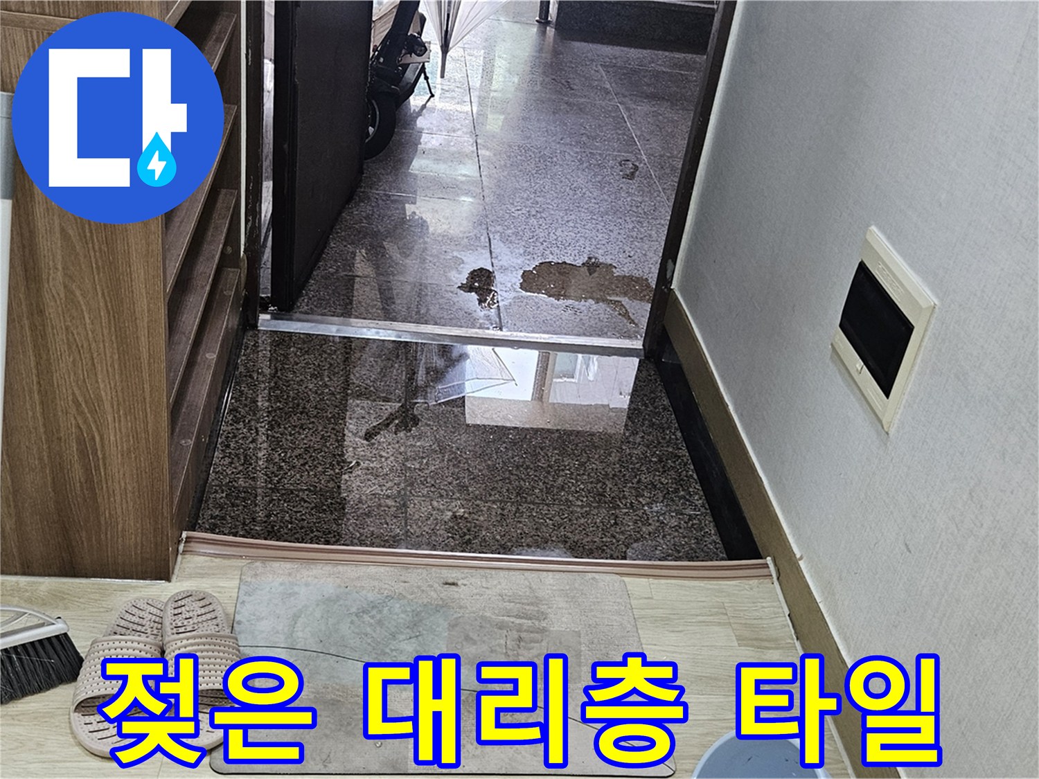 물기가 스며들어 어둡게 변한 현관 바닥재
