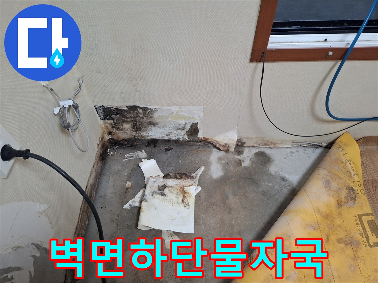 개봉동-현장-벽지-하단-곰팡이와-습기-흔적