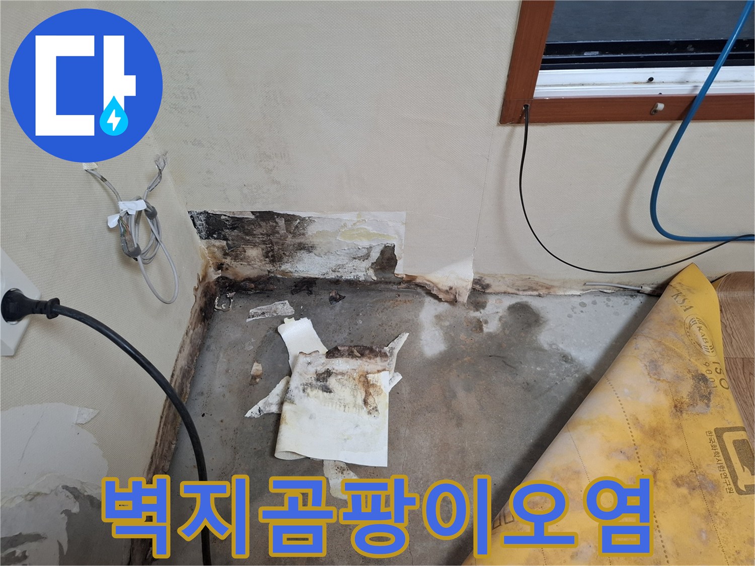 개봉동-현장-벽지-하단-물샘-흔적