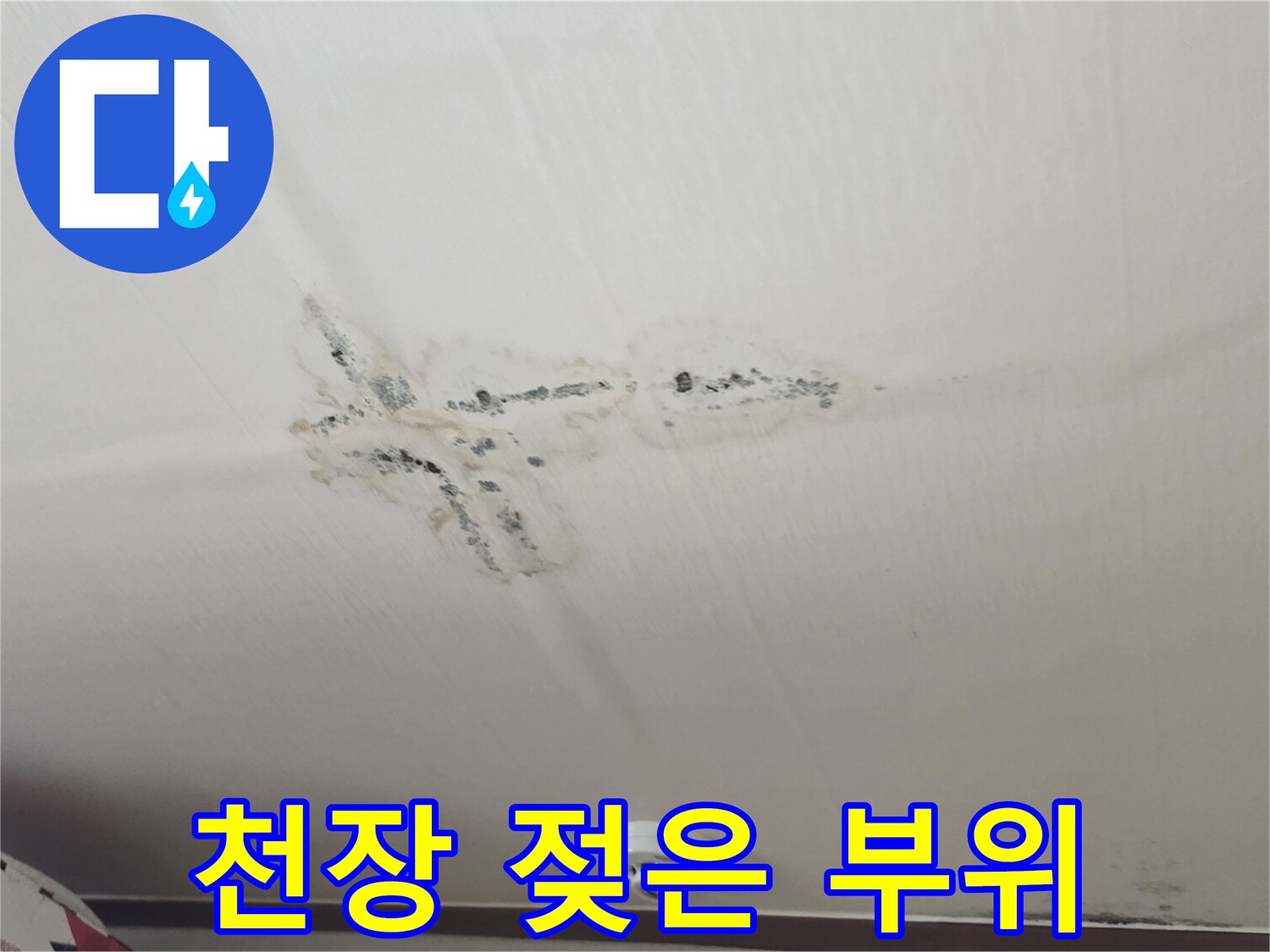 하얀색 천장 마감재 위로 번져 있는 누수 피해 부위