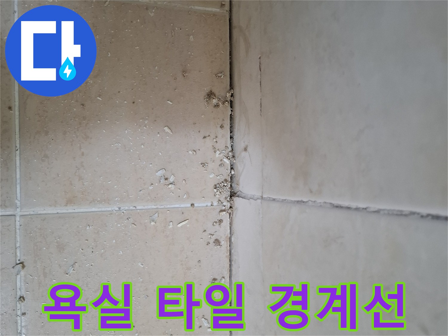벽체-하단-타일-사이의-이물질과-틈새