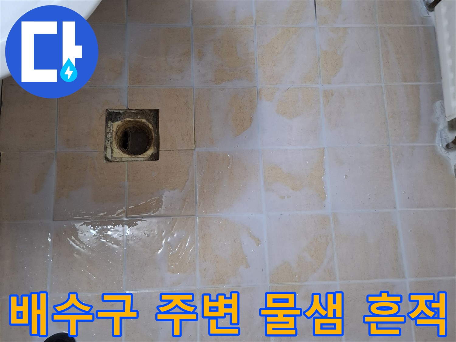 상계동-아파트-욕실-우수관-주변-물고임-및-오염