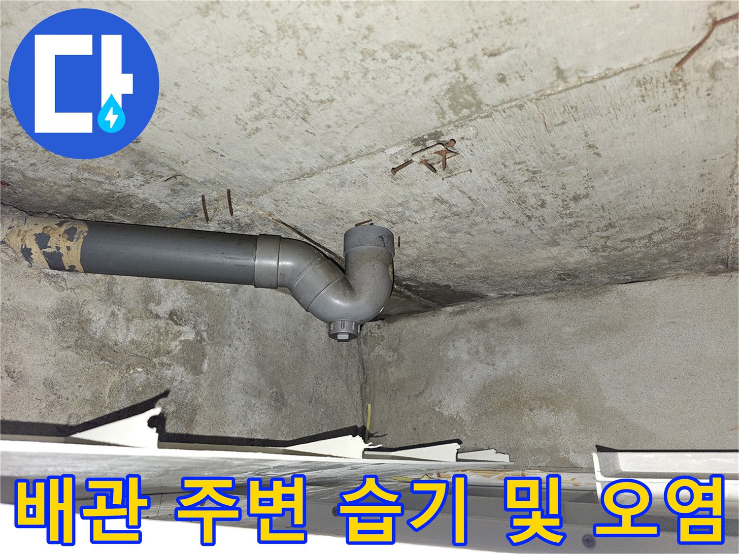 천장 하수 배관 연결 부위의 젖은 흔적과 오염