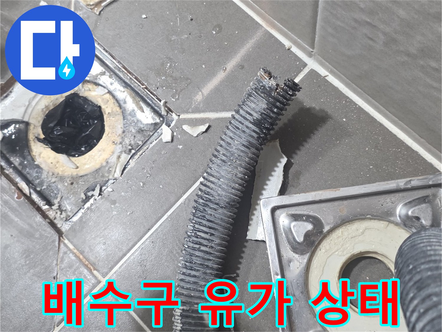 욕실-배수구-유가-주변-틈새-확인