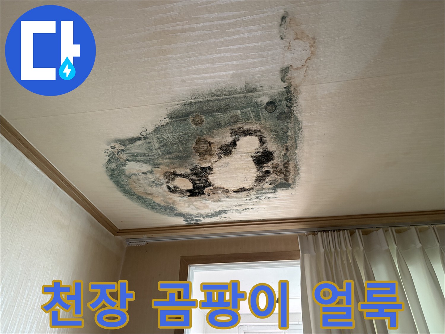 심한 물샘 흔적과-곰팡이가 발생한 천장