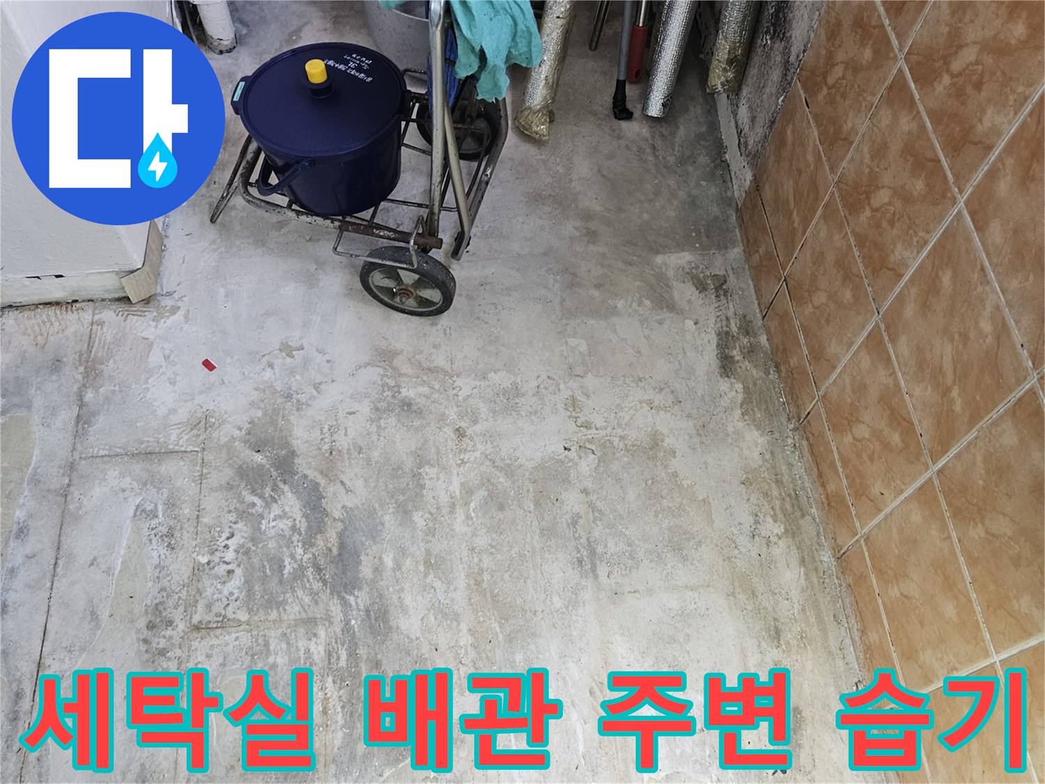배수-호스-주변의-축축한-벽면-상태-사진