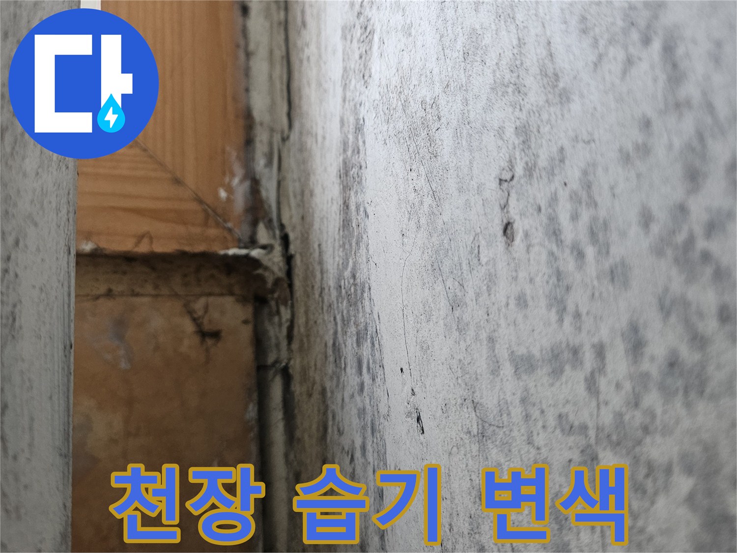 베란다-천장-마감재-누수-흔적-촬영
