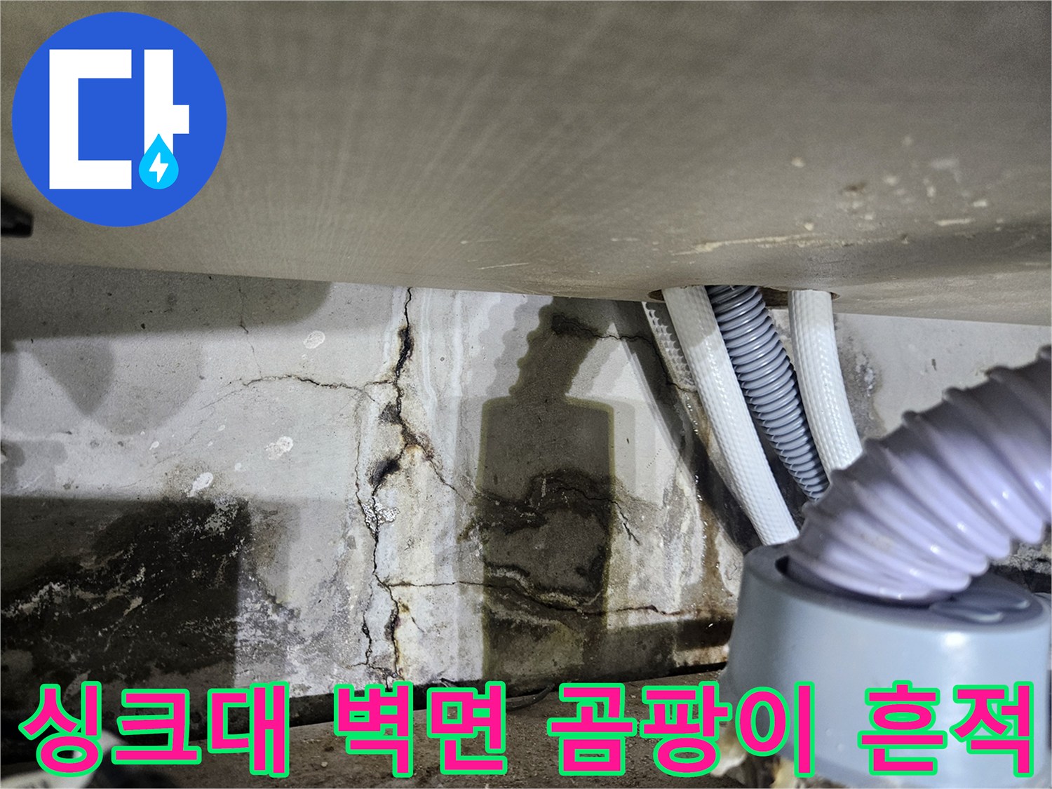 배관-주변의-심한-습기-와-검은색-곰팡이