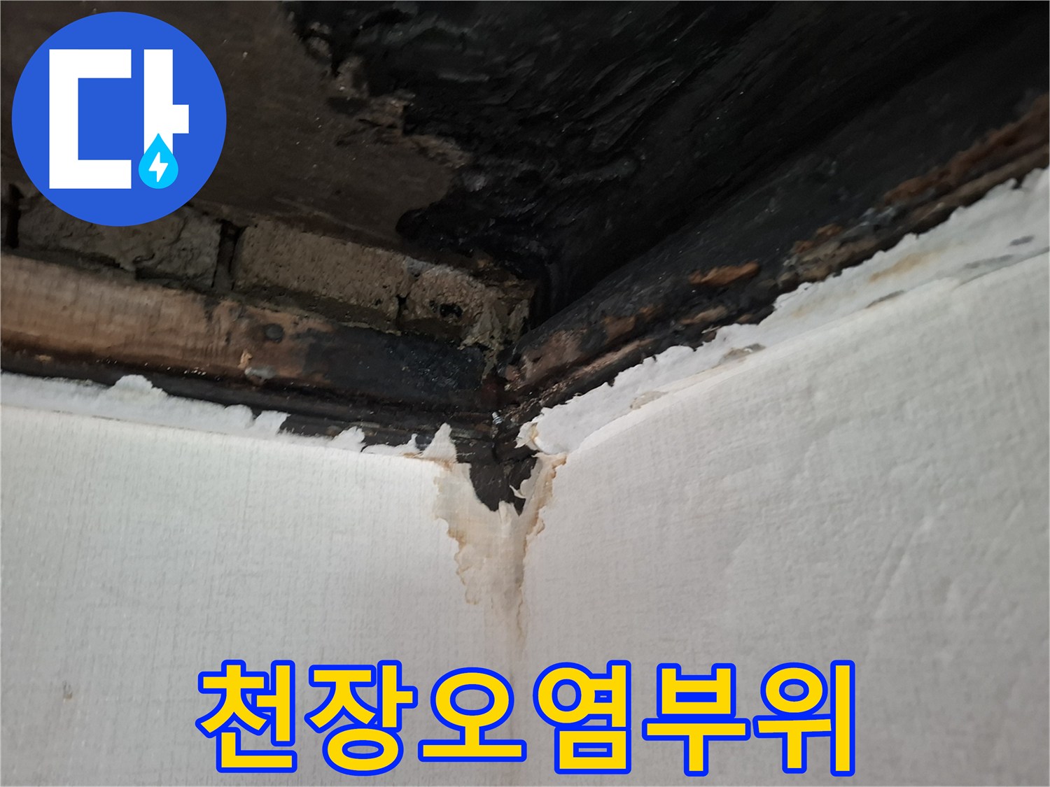 물샘으로-인해-검게-변한-천장-마감재