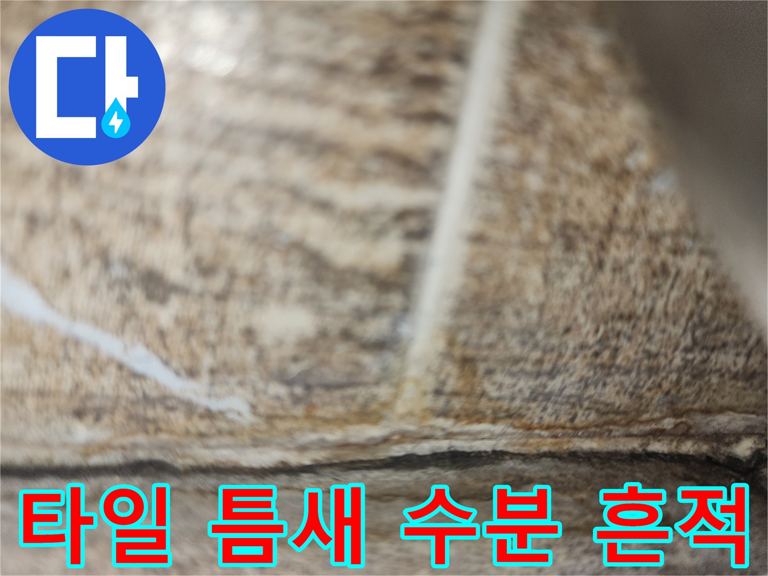 습기가 스며든 타일 사이의 갈라진 틈