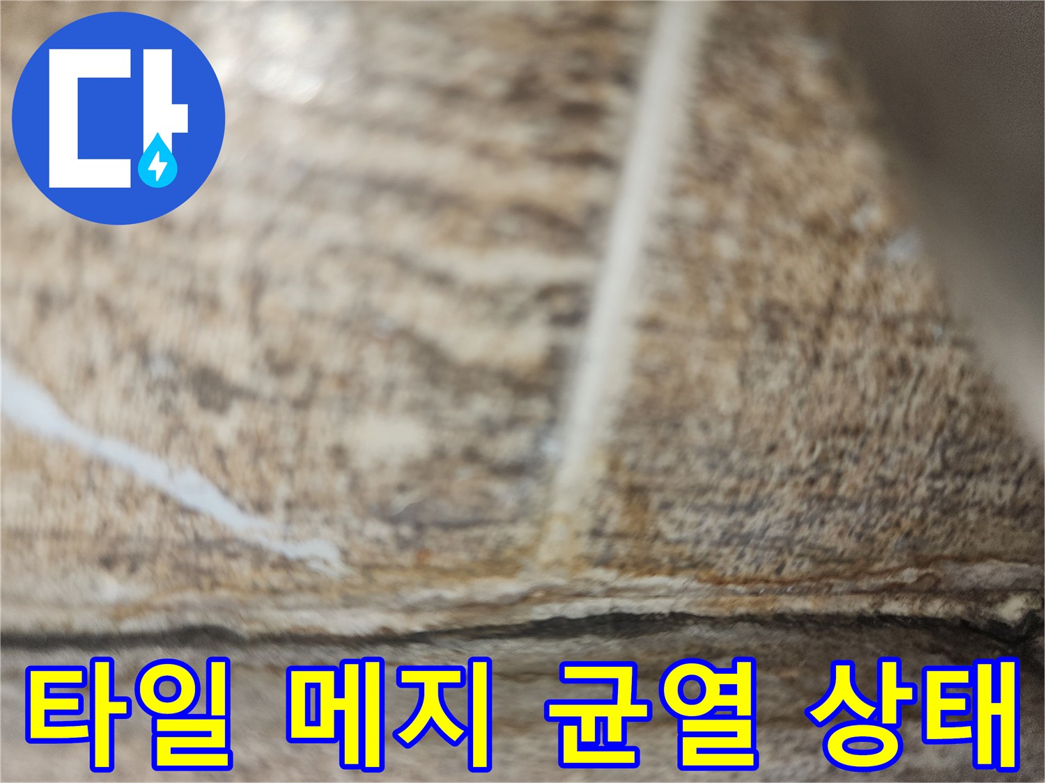 타일 사이의 갈라진 틈새와 변색된 부분