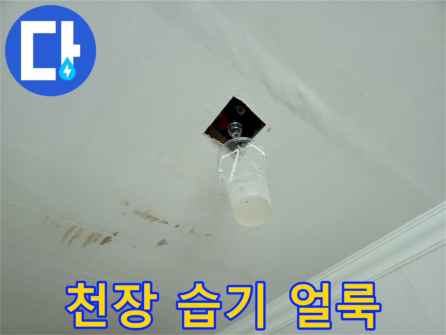거실 천장에 발생한 습기 및 얼룩 부위
