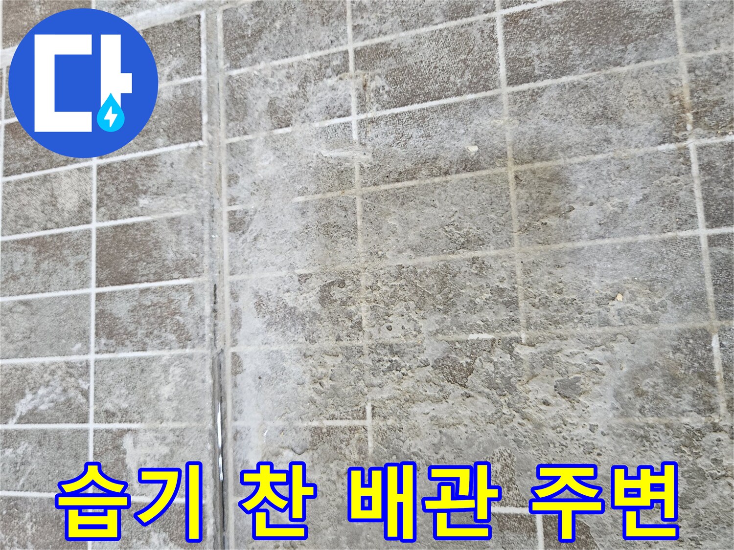배관 균열 및 주변 백화 현상 사진